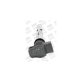 Bobina inductie BorgWarner (BERU) ZSE043