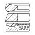 Set segmenti GOETZE 08-431900-10