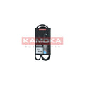 Curea transmisie caneluri KAMOKA 7014074