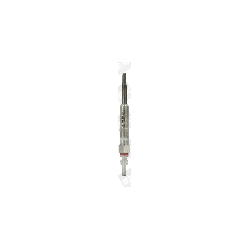 Bujie incandescenta BorgWarner (BERU) GE100