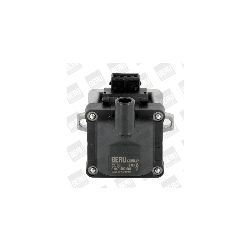 Bobina inductie BorgWarner (BERU) ZSE001