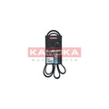 Curea transmisie caneluri KAMOKA 7016174