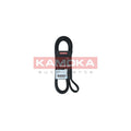 Curea transmisie caneluri KAMOKA 7016163
