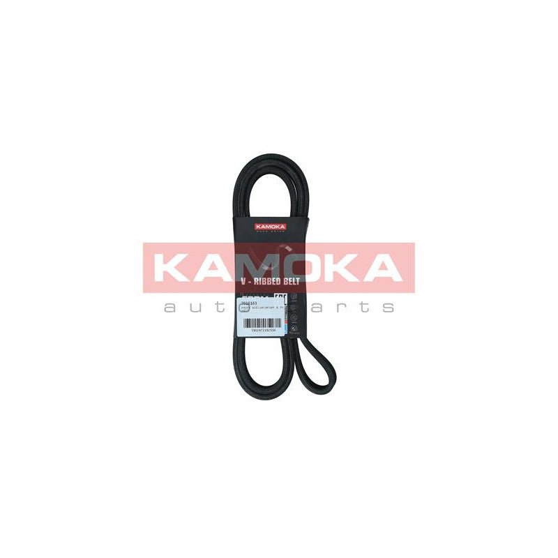Curea transmisie caneluri KAMOKA 7016163