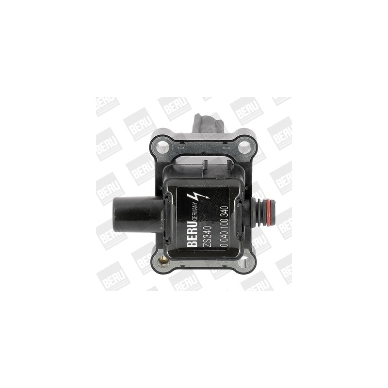 Bobina inductie BorgWarner (BERU) ZS340