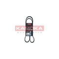 Curea transmisie caneluri KAMOKA 7016085