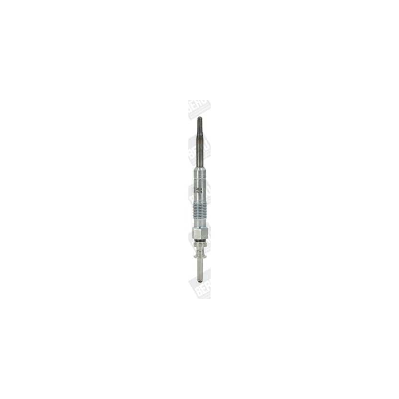 Bujie incandescenta BorgWarner (BERU) GE102