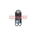 Curea transmisie caneluri KAMOKA 7014046