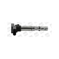 Bobina inductie BorgWarner (BERU) ZSE059