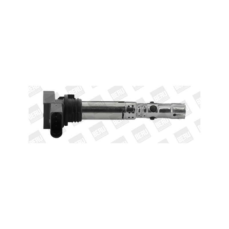 Bobina inductie BorgWarner (BERU) ZSE059