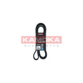 Curea transmisie caneluri KAMOKA 7016166