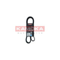 Curea transmisie caneluri KAMOKA 7015081