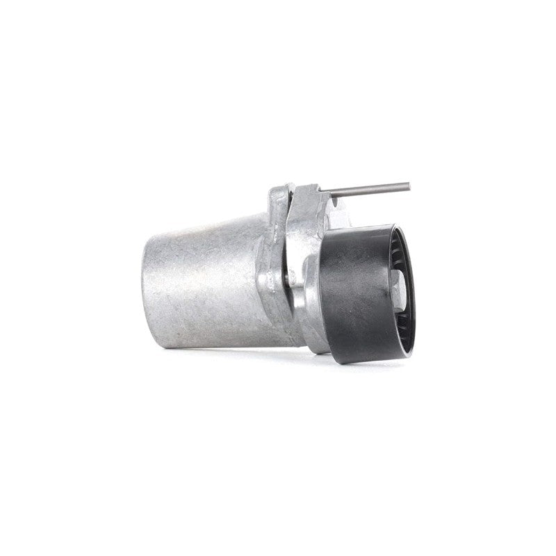 Parghie intinzator curea MTR 12164694