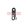 Curea transmisie caneluri KAMOKA 7016143
