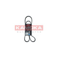 Curea transmisie caneluri KAMOKA 7016095