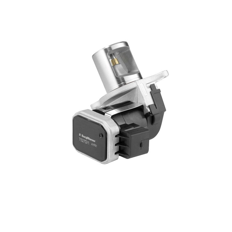 Supapa EGR BorgWarner 7527D/1