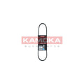 Curea transmisie caneluri KAMOKA 7013009