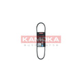 Curea transmisie caneluri KAMOKA 7013011