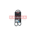 Curea transmisie caneluri KAMOKA 7013017
