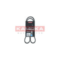 Curea transmisie caneluri KAMOKA 7014062