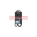 Curea transmisie caneluri KAMOKA 7014075