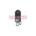 Curea transmisie caneluri KAMOKA 7014081