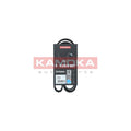 Curea transmisie caneluri KAMOKA 7016071