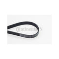 Curea transmisie caneluri CONTINENTAL CTAM 6PK1780