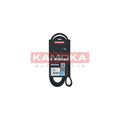 Curea transmisie caneluri KAMOKA 7015073