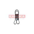 Curea transmisie caneluri KAMOKA 7016109