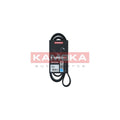 Curea transmisie caneluri KAMOKA 7015080