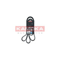 Curea transmisie caneluri KAMOKA 7015084