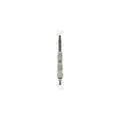 Bujie incandescenta BorgWarner (BERU) GN016