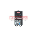 Curea transmisie caneluri KAMOKA 7016004