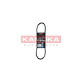 Curea transmisie caneluri KAMOKA 7016006