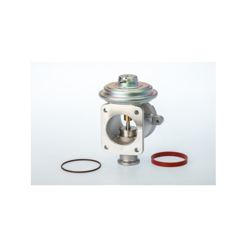 Supapa EGR BorgWarner 710924D