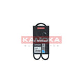 Curea transmisie caneluri KAMOKA 7016008