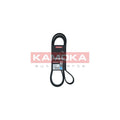 Curea transmisie caneluri KAMOKA 7017035