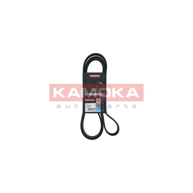 Curea transmisie caneluri KAMOKA 7017035