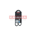 Curea transmisie caneluri KAMOKA 7016017