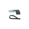 Curea transmisie caneluri DAYCO 6PK1070