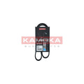 Curea transmisie caneluri KAMOKA 7016021