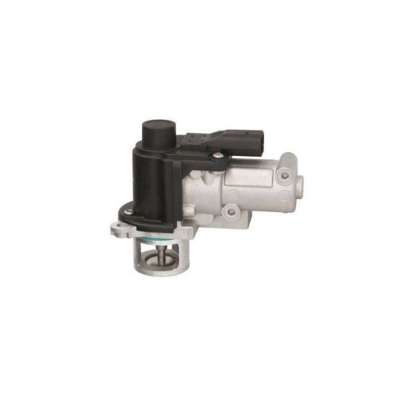 Supapa EGR MTR 13054252
