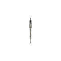 Bujie incandescenta BorgWarner (BERU) PSG003