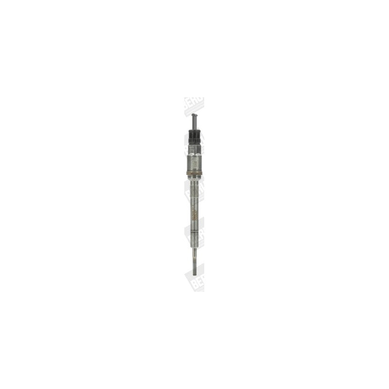 Bujie incandescenta BorgWarner (BERU) PSG003