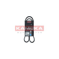 Curea transmisie caneluri KAMOKA 7016037