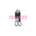 Curea transmisie caneluri KAMOKA 7016041