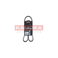 Curea transmisie caneluri KAMOKA 7016043