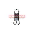 Curea transmisie caneluri KAMOKA 7016053