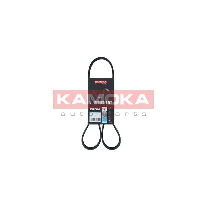Curea transmisie caneluri KAMOKA 7016053